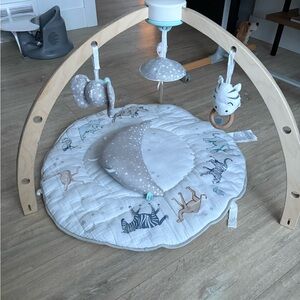 Aden + Anais Baby Play Gym with Animal Mat